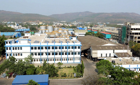 Rabale Plant